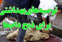 دستورالعمل‌های دامپزشکی برای ذبح دام در مراسم تاسوعا و عاشورا اعلام شد