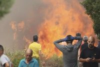 رکورد آتش سوزی در جنگل‌های اروپا