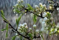 رگبار باران و رعدوبرق در‌ نقاطی از کشور/ گردوخاک در برخی شهرها