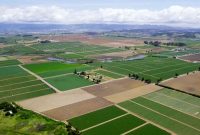سند تک برگ ۱۰ هزار هکتار از اراضی کشاورزی لرستان امسال صادر شد