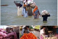 سیل در پاکستان؛ امید همسایه شرقی به ایران برای تامین محصولات کشاورزی