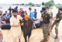 شمار قربانیان سیل در پاکستان از مرز ۸۰۰ کشته عبور کرد