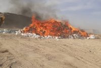 شناسایی و امحاء بیش از ۳۵۰ کانتینر کالای متروکه در بندر شهید رجایی+فیلم شناسایی و امحاء بیش از ۳۵۰ کانتینر کالای متروکه در بندر شهید رجایی+فیلم