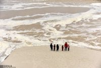 فیلم/ورود آب از رودخانه هیرمند به چاه نیمه‌های سیستان
