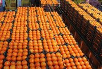 مرکبات ایران برای اولین بار به چین صادر می‌شود