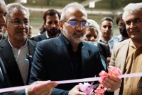 معاون رئیس جمهور: دولت فرصت کار و خدمت برای مردم را با پرداختن به حاشیهها هدر نمیدهد معاون رئیس جمهور: دولت فرصت کار و خدمت برای مردم را با پرداختن به حاشیهها هدر نمیدهد