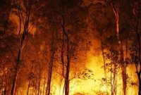 ناتوانی آتش‌نشانان فرانسه در مهار آتش سوزی جنگلی در جنوب فرانسه