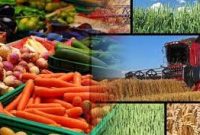 نخستین رویداد فناوری‌های نوین کشاورزی روز چهارشنبه برگزار می‌شود