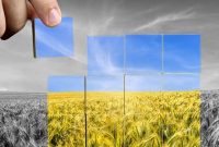 نظام سرمایه‌داری عامل اصلی بروز بحران غذا در جهان است
