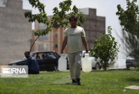 نوع دوستی همدانیها در اوج مشکلات ناشی از خشکسالی و تنش آبی نوع دوستی همدانیها در اوج مشکلات ناشی از خشکسالی و تنش آبی