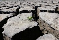 هشدار کمیسیون اروپا: با بدترین خشکسالی در ۵ قرن اخیر مواجهیم