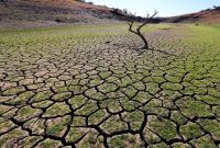 چین برای نخستین بار هشدار ملی خشکسالی صادر کرد