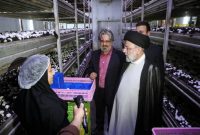 کارنامه سال نخست دولت مردمی با احیای ۳۹ واحد صنعتی راکد در کرمان