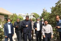کارگروه وزارت جهاد برای آفات نخل‌های جنوب کرمان تشکیل می‌شود