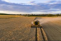 کاهش ۳۵ درصدی تولید محصولات کشاورزی در فرانسه
