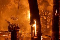 گسیل شدن آتش‌نشانان اروپا برای مهار آتش‌سوزی‌های گسترده در فرانسه
