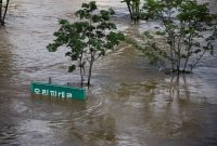 ۱۶ کشته و مفقود در جریان بارندگی‌های سیل‌آسا در کره جنوبی