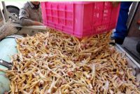 ۶۵ تن پای مرغ از لرستان به قرقیزستان صادر شد