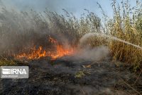 آتش به جان تالاب‌ها؛ هر ۱۲ روز یک‌بار