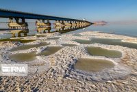 اصلاح الگوی کشت برای نجات دریاچه ارومیه لازم الاجرا است