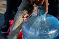 بحران آب در آمریکا؛ مردم با دهان باز دوش نگیرند
