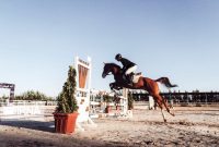 برترین‌های مسابقات پرش با اسب قهرمانی استان یزد معرفی شدند