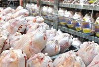 بررسی دو دلیل افزایش قیمت مرغ/سیاست فعلی کشورها ذخیره سازی است