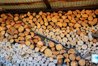 ترس از زمستان و کمبود سوخت، قیمت هیزم و چوب را بیش از ۸۵ درصد در آلمان افزایش داد