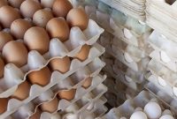 ترکیه با پرداخت یارانه به صادر کنندگان تخم مرغ بازار منطقه را گرفته است