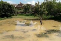 حوادث قهری بیش از ۵۶۰ میلیارد ریال به کشاورزی استان اردبیل خسارت زد