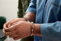 دستگیری ۷۸ سارق و مالخر در البرز