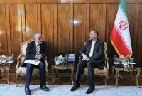 دیدار سفیر جدید ایران در سازمان ملل با امیرعبداللهیان