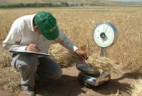 راه‌اندازی هنرستان کشاورزی اهواز وابسته به مرکز آموزش کشاورزی و منابع طبیعی خوزستان