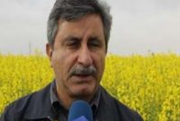 سازمان محصولات صنعتی تشکیل می‌شود