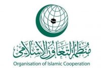 سازمان همکاری اسلامی حمله رژیم صهیونیستی به اردوگاه جنین را محکوم کرد