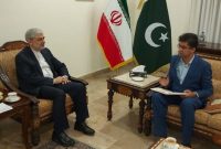 سفیر ایران در پاکستان: تکمیل پروژه گاز نقطه قوت مناسبات تهران-اسلام‌آباد است
