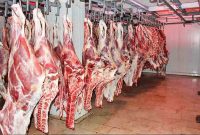 طرح تهاتر گوشت قرمز با نهاده‌ از ۱۰ روز آینده اجرایی می‌شود