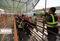 غایبان خدمت سربازی امکان خروج از مرزهای خوزستان را ندارند