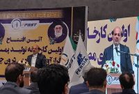 معاون وزیر نفت: ایران از نظر ذخایر نفت و گاز رتبه نخست دنیا را دارد