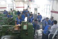 مهارت آموزی در محیط کسب و کار واقعی در استان بوشهر ۲۵ درصد افزایش یافت
