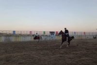 همایش منطقه ای «شو سواره» اسب کُرد در دیواندره برگزار شد