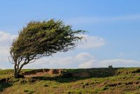 هواشناسی نسبت به افزایش سرعت وزش باد در استان همدان هشدار داد