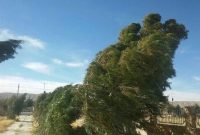 وزش بادهای شمالی در ارتفاعات قزوین پیش بینی می‌شود