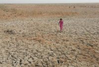 کمک یک میلیون دلاری برنامه جهانی غذا برای مقابله با خشکسالی در عراق