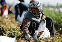 11 هزار میلیارد تومان برای اشتغال روستاییان اختصاص مییابد 11 هزار میلیارد تومان برای اشتغال روستاییان اختصاص مییابد