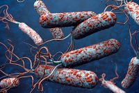 ۳۴ بیمار مشکوک به وبا در خراسان رضوی شناسایی شد