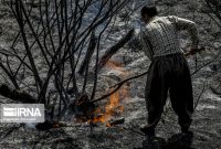 آتش سوزی در منابع طبیعی استان بوشهر کاهش یافت