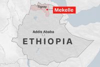 آغاز مذاکرات صلح اتیوپی در آفریقای جنوبی