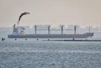 اوکراین: ۲۱۸ کشتی پس از تعلیق توافق غلات متوقف شدند