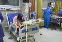 خطر بازگشت وبا به کردستان، سوغاتی که ماندگار شد خطر بازگشت وبا به کردستان، سوغاتی که ماندگار شد